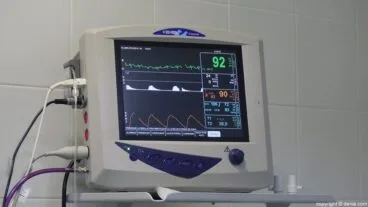 Monitor CYNOS Clinica Veterinaria