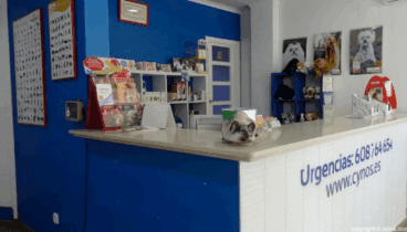 Recepción CYNOS Clínica veterinaria