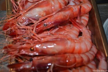 5º Concurso Internacional de Cocina Creativa de la Gamba Roja de Dénia – Gamba