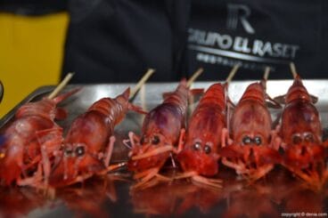 5º Concurso Internacional de Cocina Creativa de la Gamba Roja de Dénia – Gamba Roja