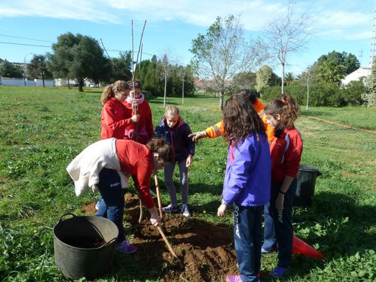Escolares de Dénia celebran el Día del árbol
