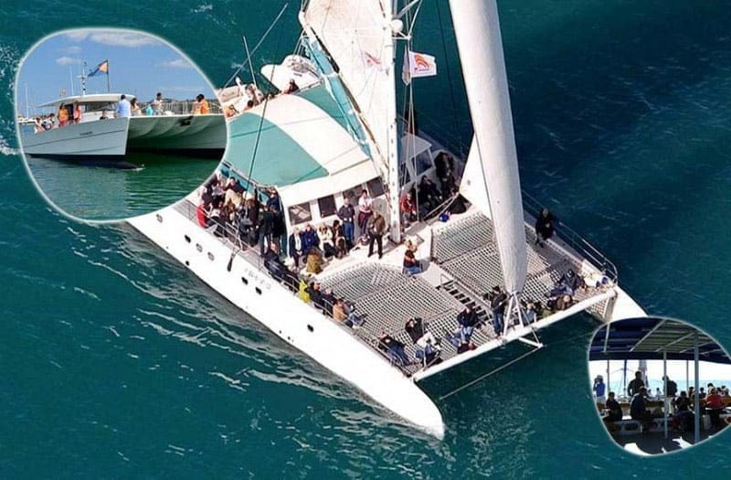 Excursión solidaria Mundo Marino