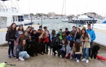 Exhibición de perros Terranova en Marina de Dénia