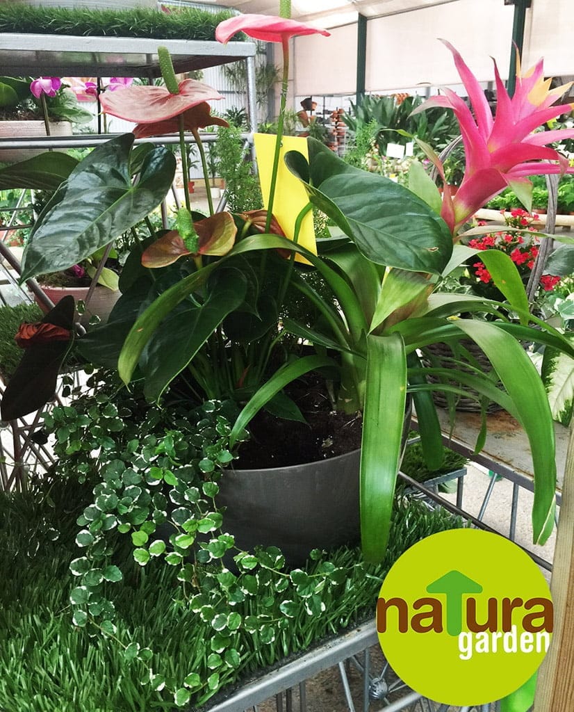 Flores de Natura Garden