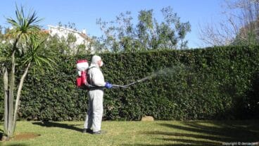 Fumigación Seyma
