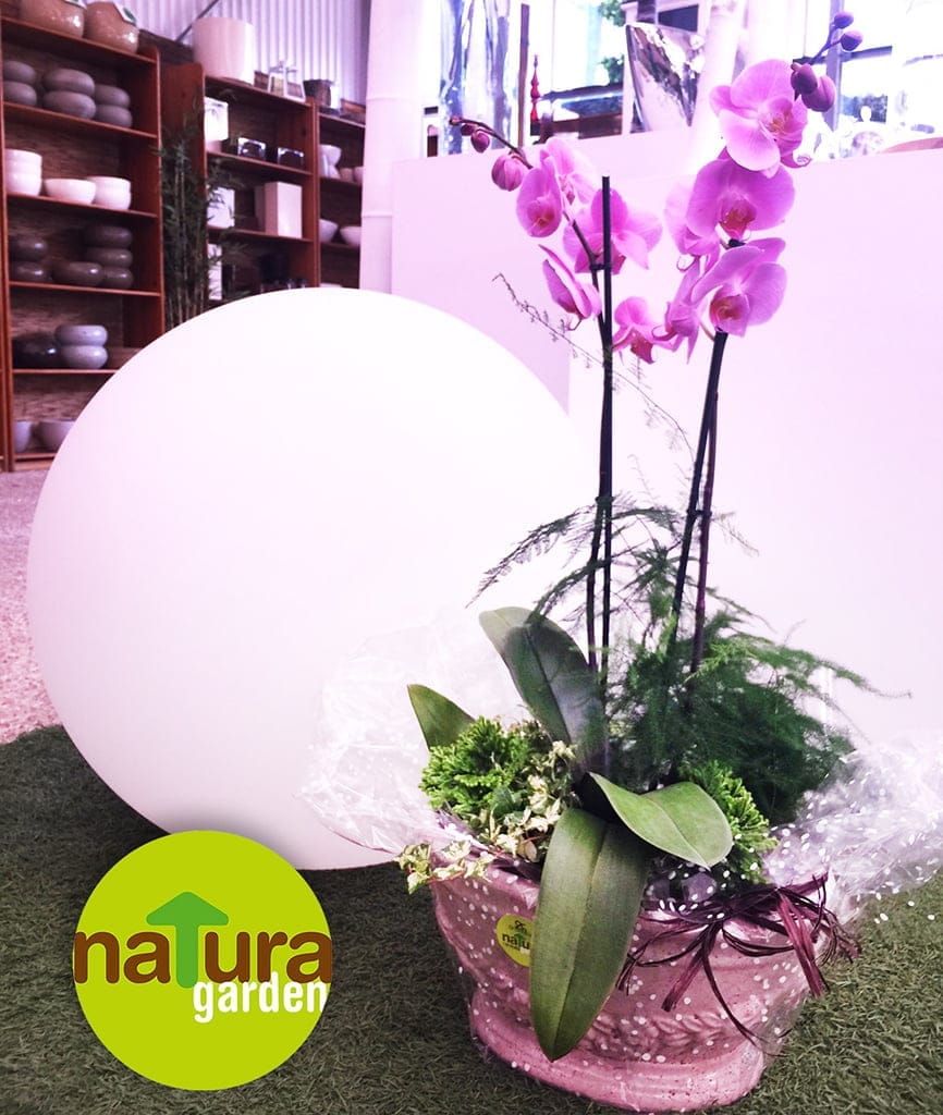 Orquídeas en Natura Garden