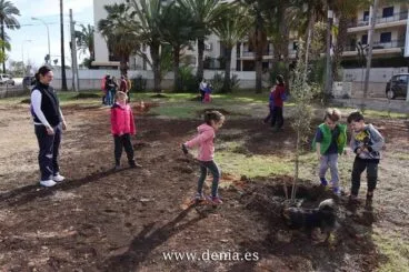 Plantación popular de árboles en la calle Sardina