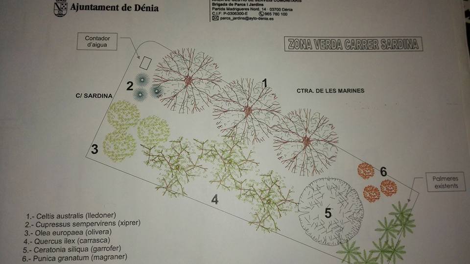 La nueva zona verde de Las Marinas coge forma tras la plantación popular 2 Zona verde calle Sardina