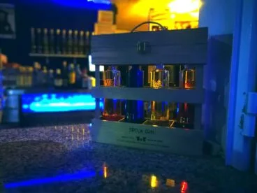 ertla gin