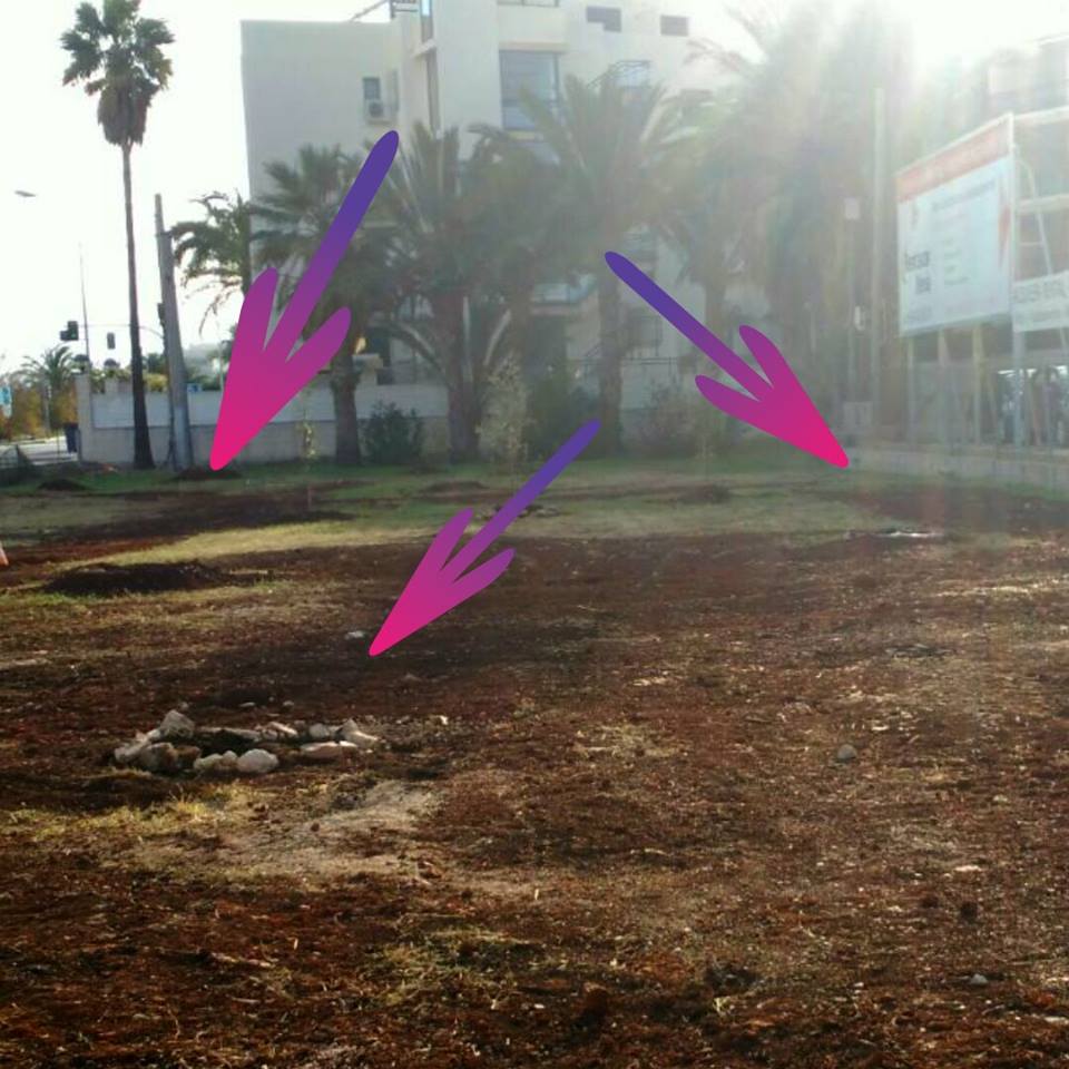 Árboles desaparecidos en Las Marinas