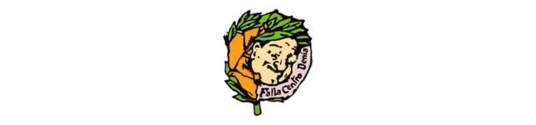 Falla Centro