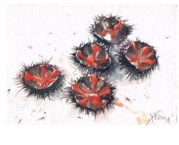 Litografía de Xavier Fornés para la falla Saladar