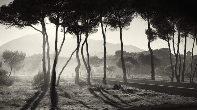 contrallum alfredo sanz 1o premio artistica