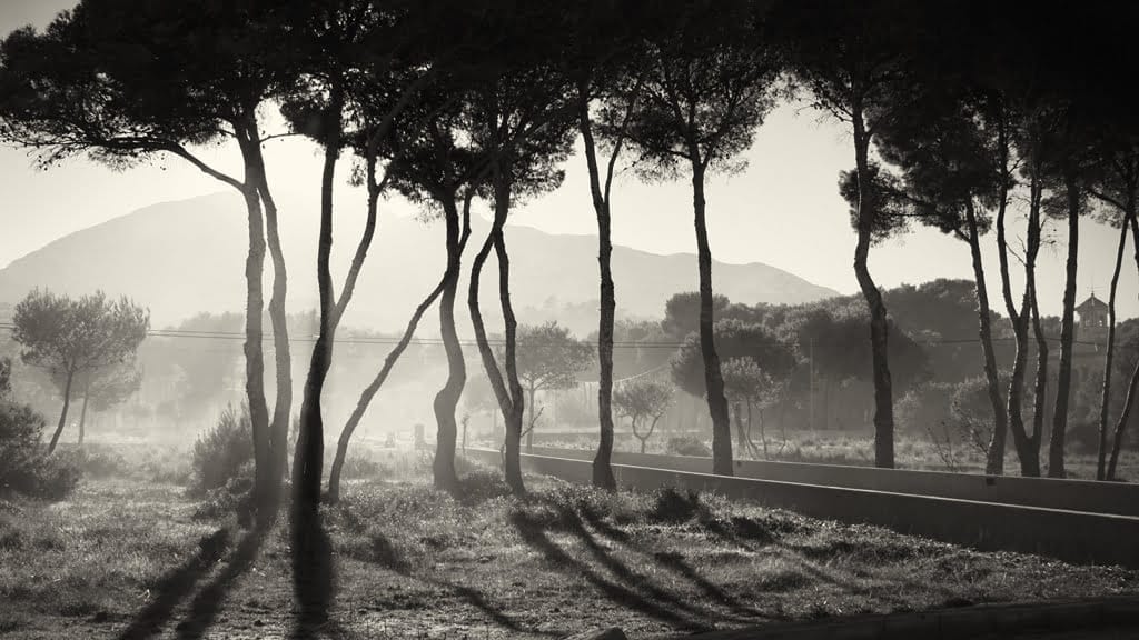 Contrallum - Alfredo Sanz - 1º Premio artística