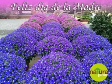dia de la madre en natura garden