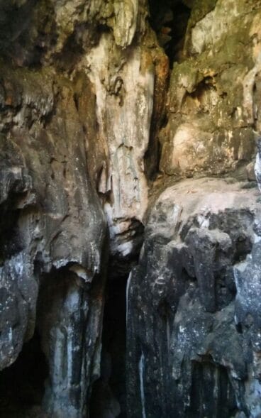 Excursión a la Cova del Camell de la falla Diana