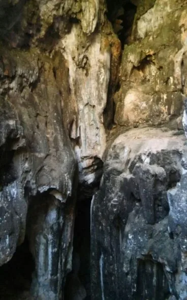 Excursión a la Cova del Camell de la falla Diana