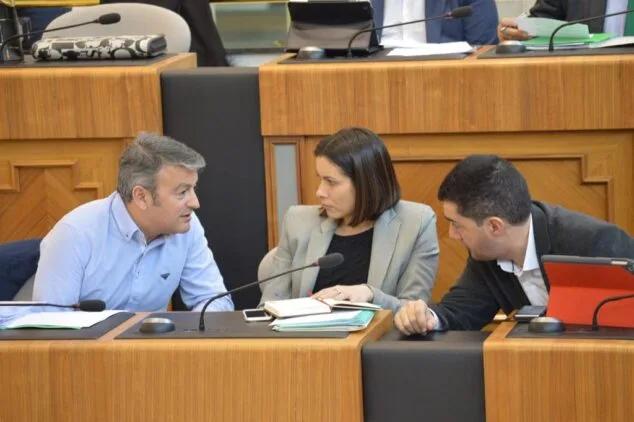 grupo socialista en la diputacion de alicante