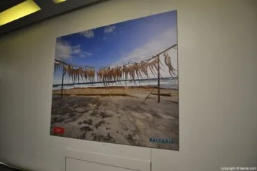 Presentación ferry Dénia Ciutat Creativa – Fotografías