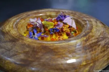 Presentación VI Dolia en Dénia – Flor de primavera