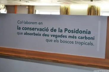 Presentación ferry Dénia Ciutat Creativa – Interior