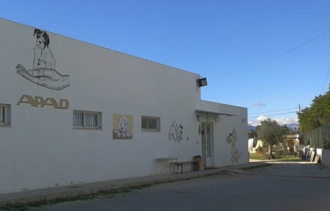 APAD solicita ayuda en la celebración de su 25 aniversario 1 APAD
