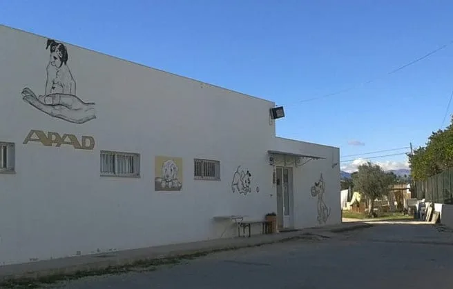 APAD solicita ayuda en la celebración de su 25 aniversario 1 APAD