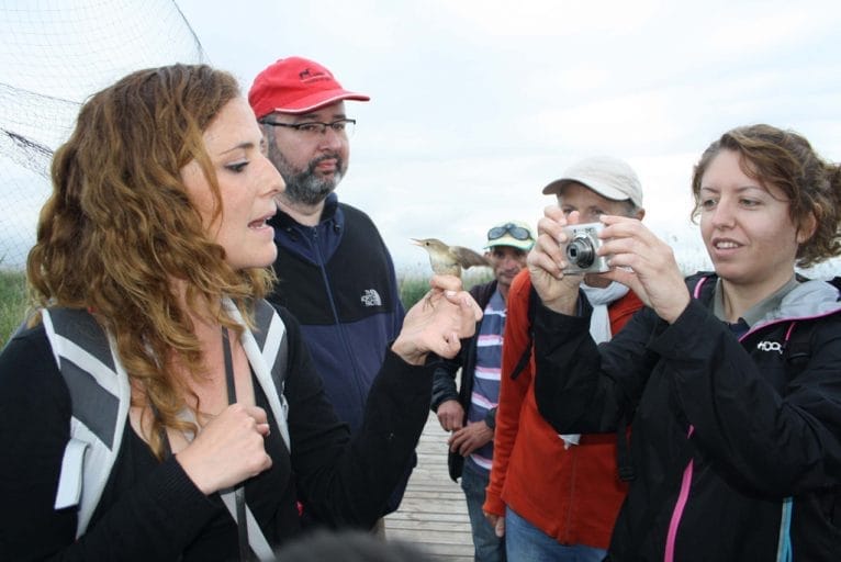 Avistamiento de aves en la Marjal Pego-Oliva