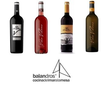 degustacion de vinos