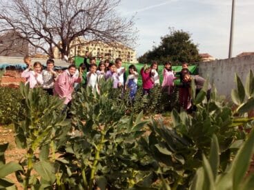 huerto escolar colegio pou de la muntanya