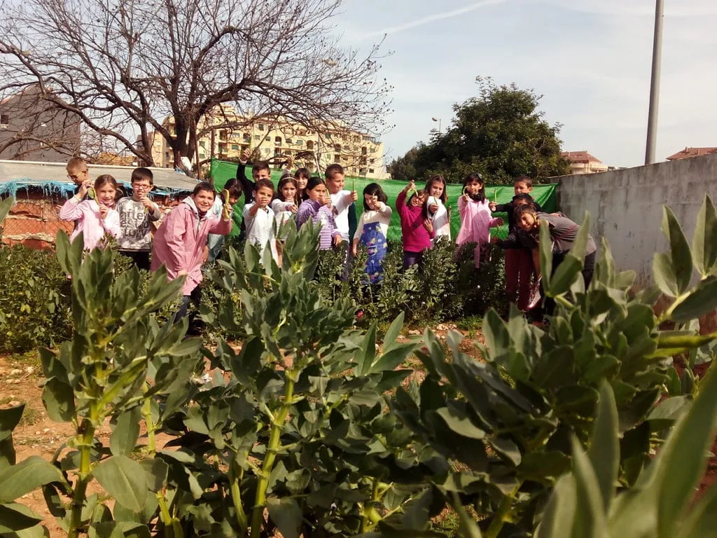 Huerto escolar colegio Pou de la Muntanya