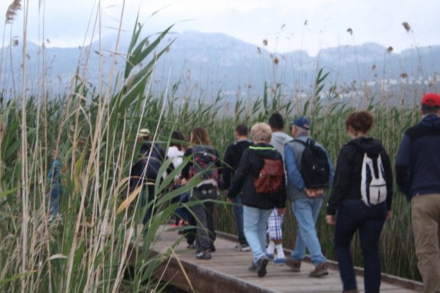 recorrido por la marjal pego oliva