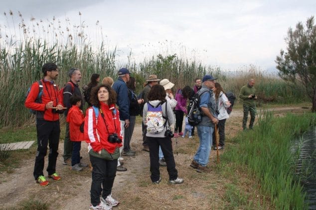 visita a la marjal pego oliva