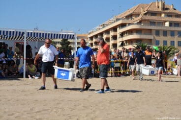 Suelta de tortugas en Dénia – llegada de las tortugas a la playa