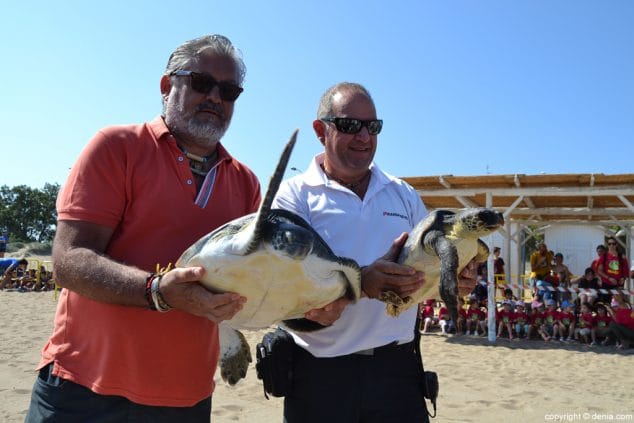 13 suelta de tortugas en denia tortugas