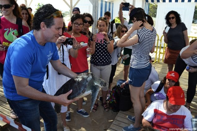 19 suelta de tortugas en denia mostrandola a los ninos