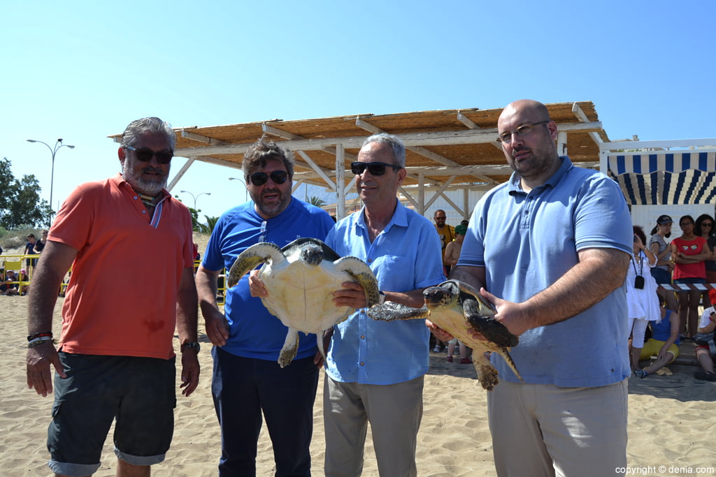 Suelta de tortugas en Dénia – ejemplares