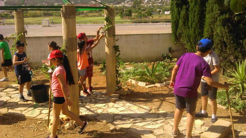 El Parque de Torrecremada, al alcance de los escolares dianenses 1 Actividades educativas en Torrecremada