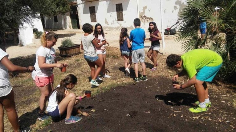 Actividades medioambientales en Torrecremada