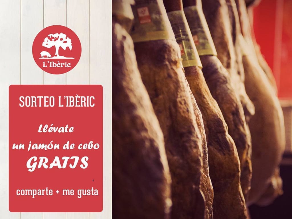 L'iberic Dénia sorteo