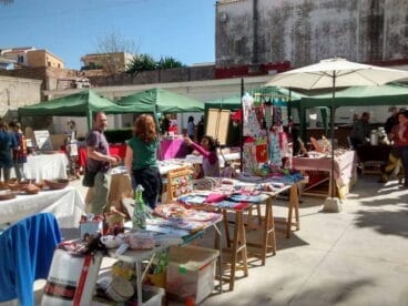 mercat de la terra la xara