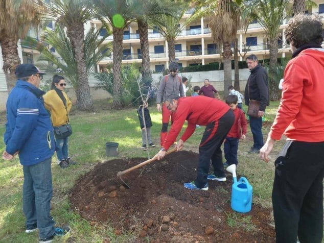 plantacion popular de arboles
