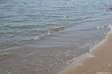 Playa del Raset