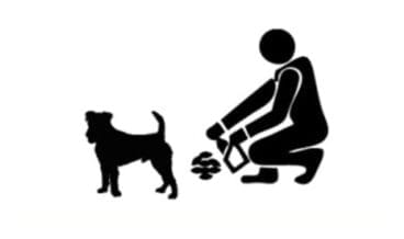 recogida de excrementos caninos