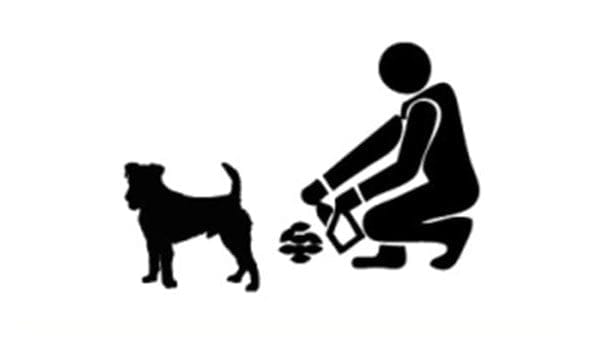 Recogida de excrementos caninos