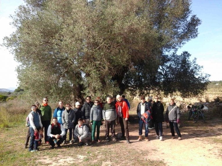 Ruta de árboles monumentales