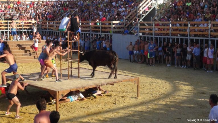 Bous a la mar - toro en la tarima