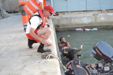Rescate de uno de los toros