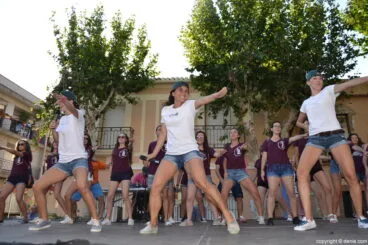 14 Jugant amb la diversitat – coreo