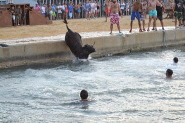 14 toro cayendo al agua en denia